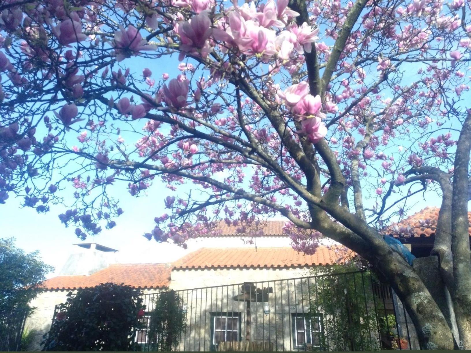 Vila Sao Braz Terrace Landim Exteriér fotografie